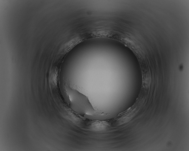 X0000095670334200801151109