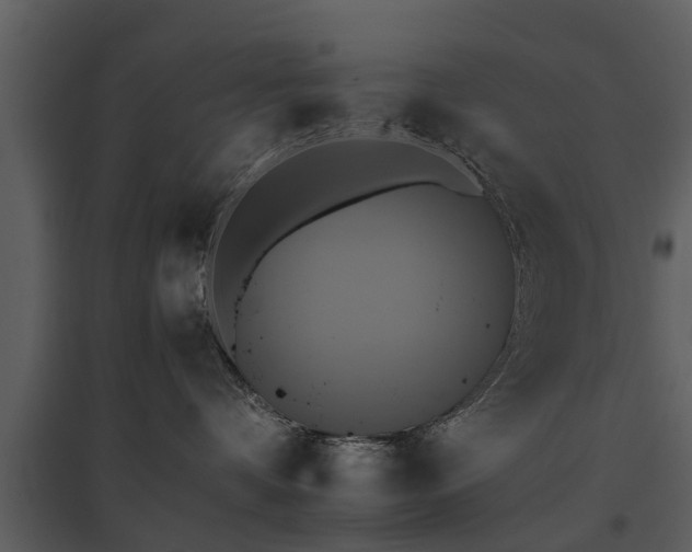 X0000095670336200801151109