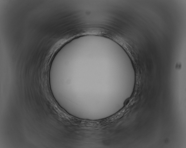 X0000095670337200801151109