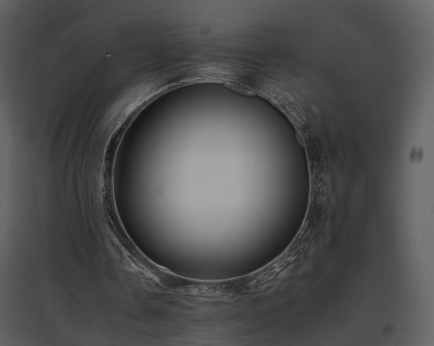 X0000095670338200801151109