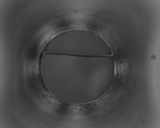 X0000095670339200801151109