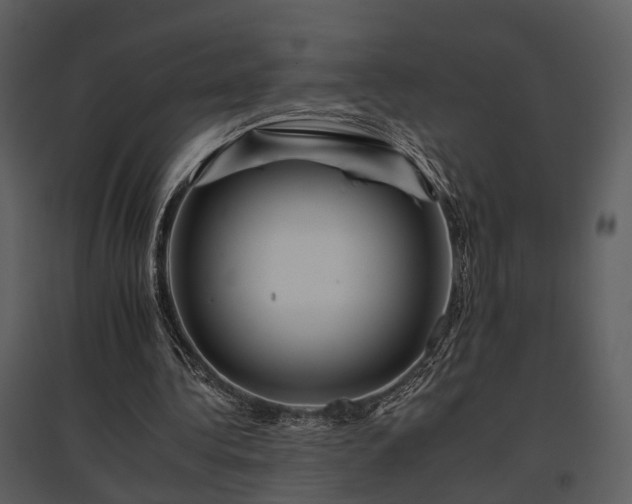 X0000095670340200801151109