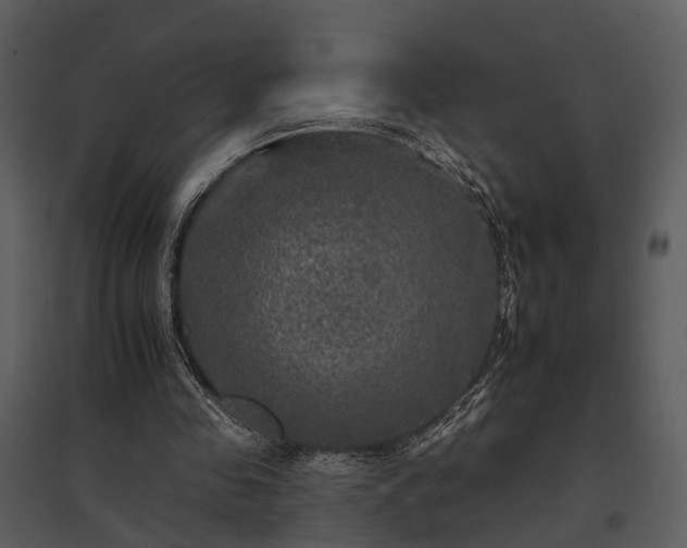 X0000095670341200801151109