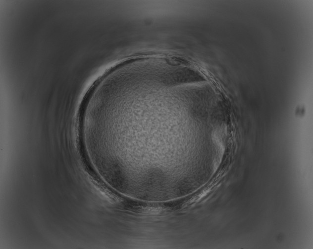 X0000095670342200801151109