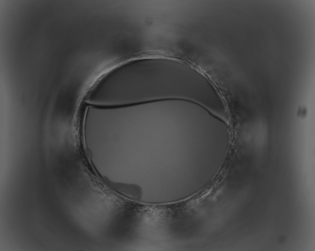 X0000095670343200801151109