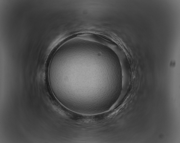 X0000095670344200801151109