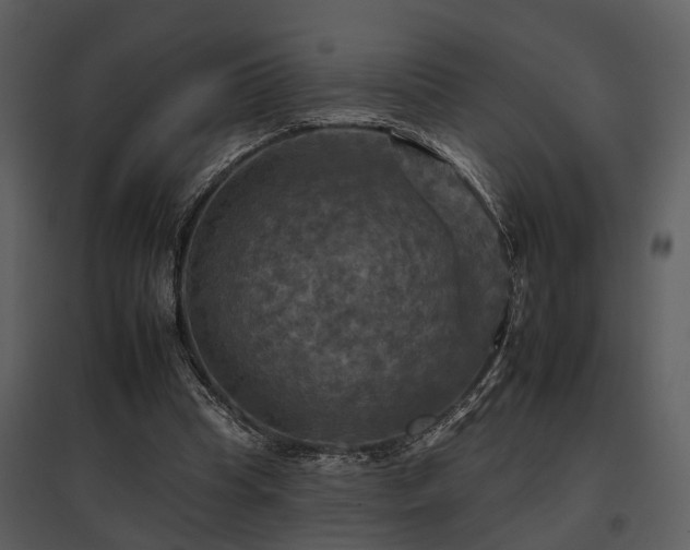 X0000095670345200801151109