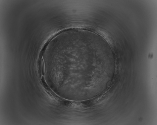 X0000095670346200801151109