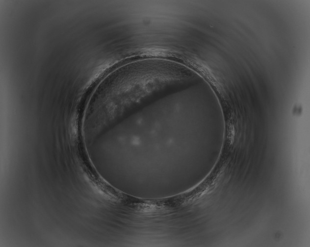 X0000095670347200801151109