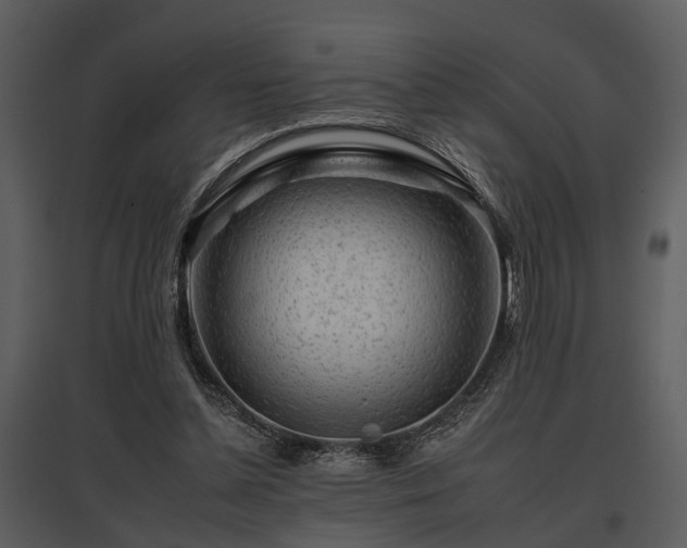 X0000095670348200801151109