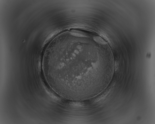 X0000095670349200801151109