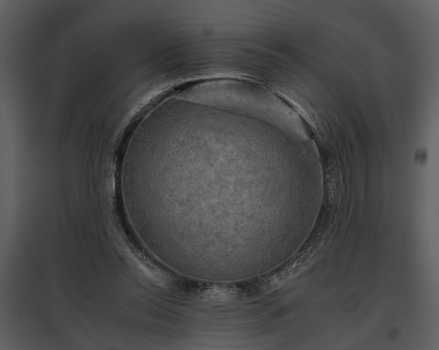 X0000095670350200801151109