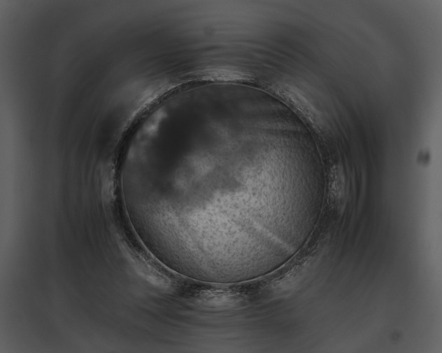 X0000095670351200801151109