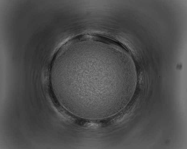 X0000095670352200801151109