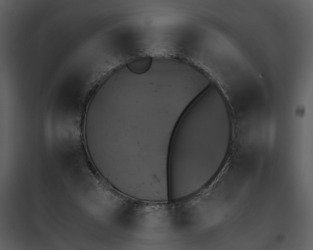 X0000095670353200801151109