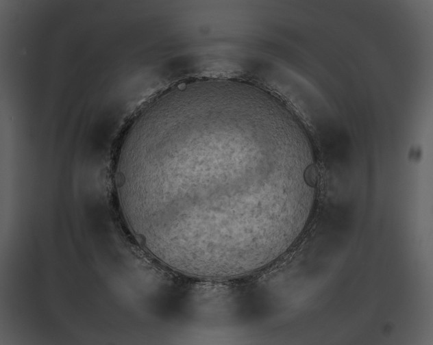 X0000095670354200801151109