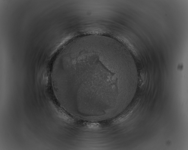 X0000095670355200801151109