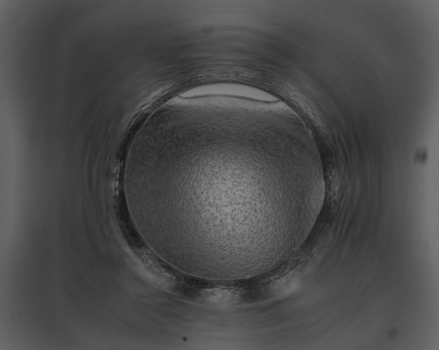 X0000095670356200801151109