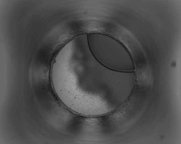 X0000095670357200801151109