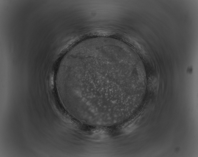 X0000095670358200801151109