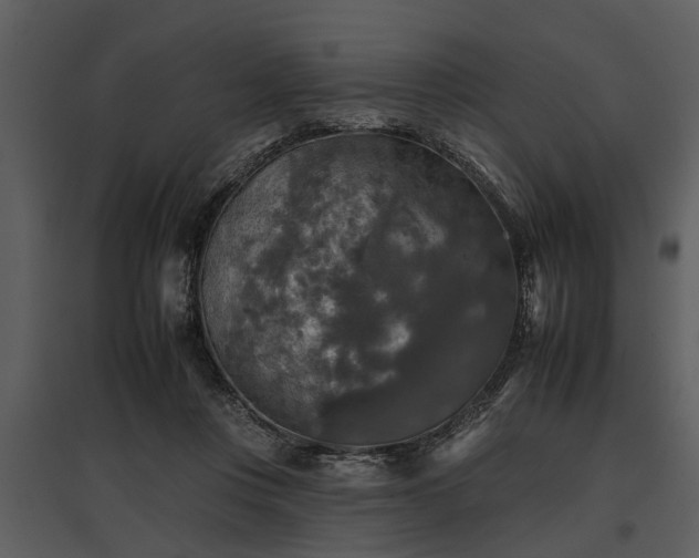 X0000095670359200801151109