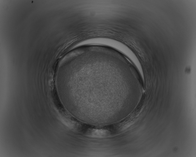 X0000095670360200801151109