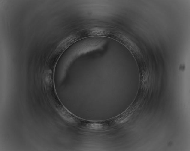 X0000095670361200801151109