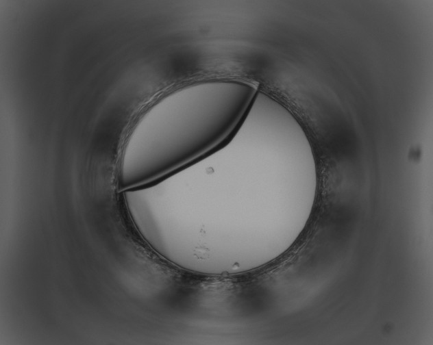 X0000095670362200801151109