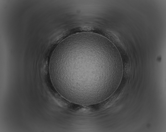 X0000095670364200801151109