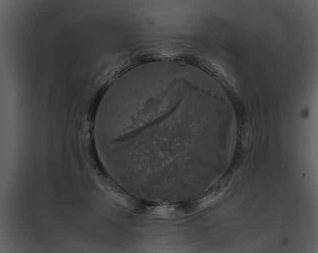 X0000095670366200801151109