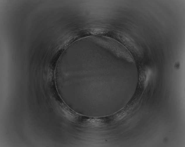 X0000095670367200801151109