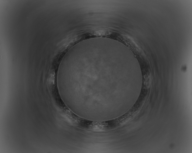 X0000095670368200801151109