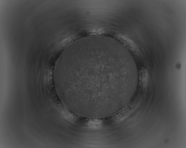 X0000095670369200801151109