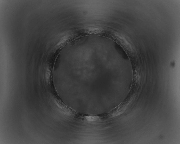 X0000095670371200801151109