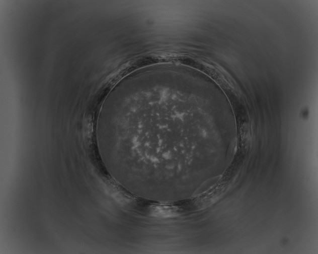 X0000095670372200801151109