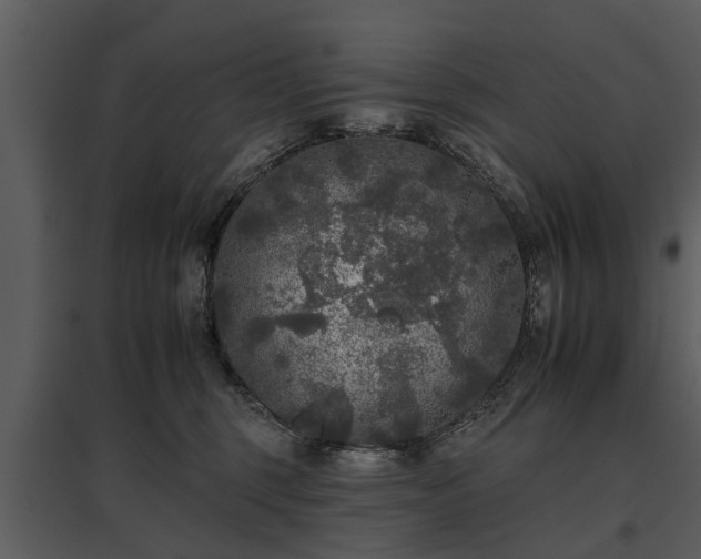 X0000095670375200801151109