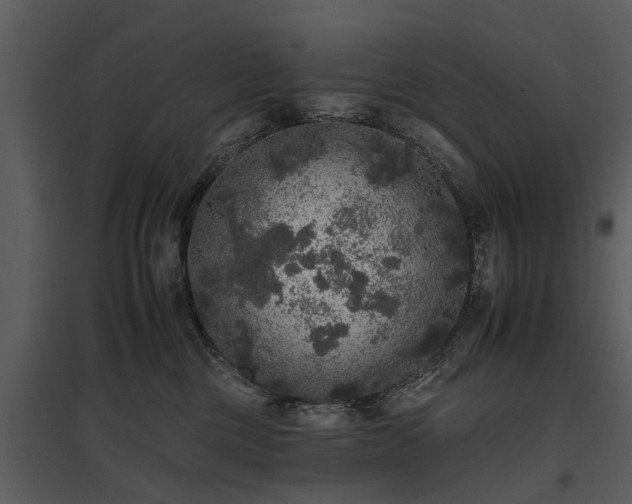 X0000095670377200801151109