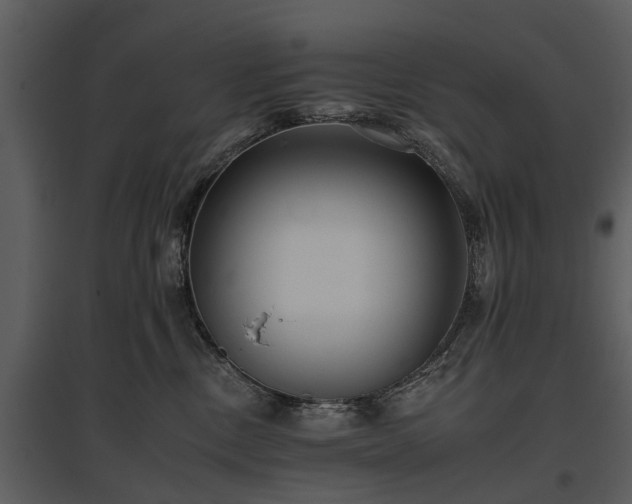 X0000095670378200801151109