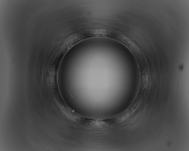 X0000095670379200801151109