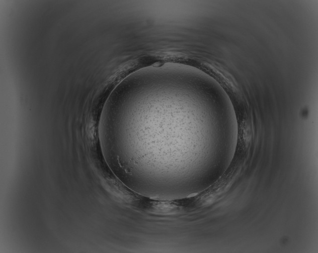 X0000095670380200801151109