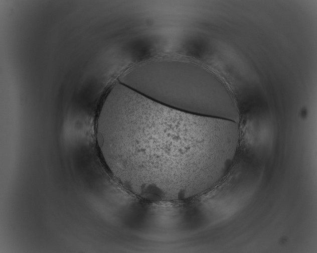 X0000095670381200801151109