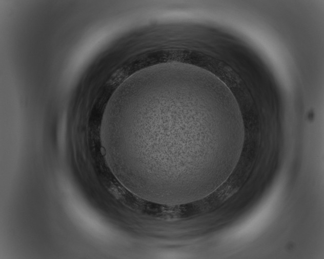 X0000095670382200801151109