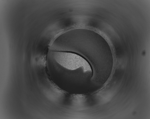 X0000095670383200801151109