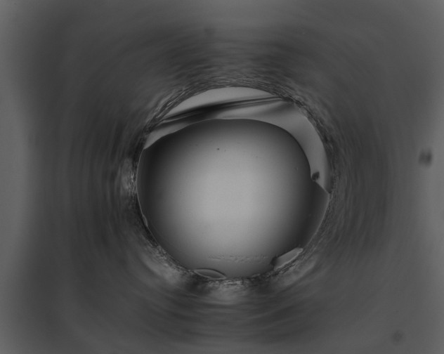 X0000095670384200801151109