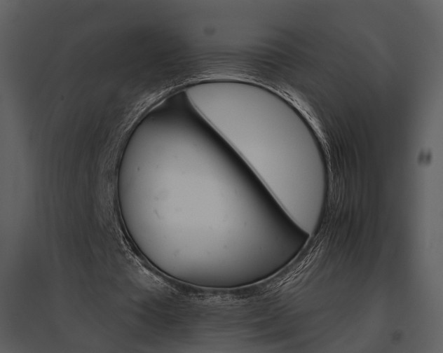 X0000095670385200801151109