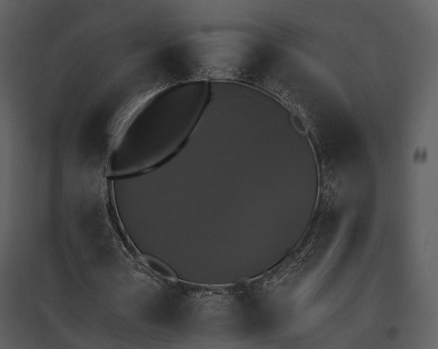 X0000095670386200801151109