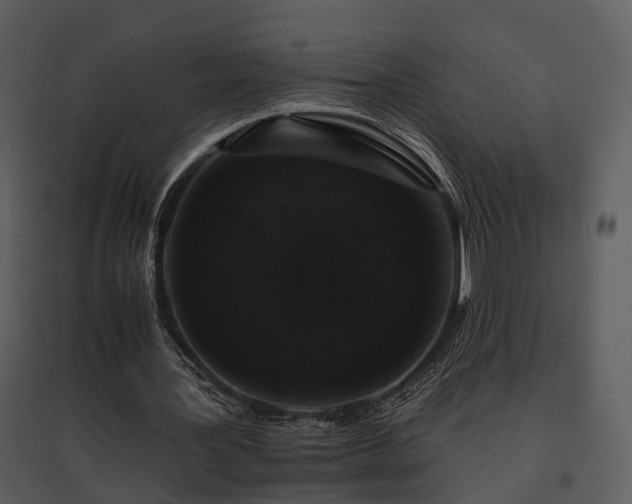 X0000095670387200801151109