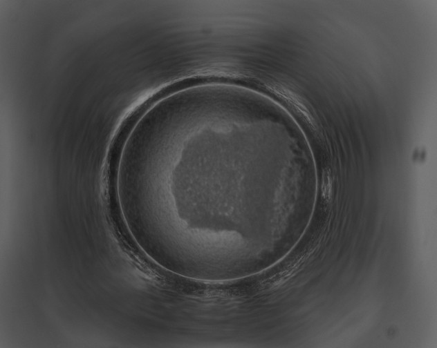 X0000095670388200801151108