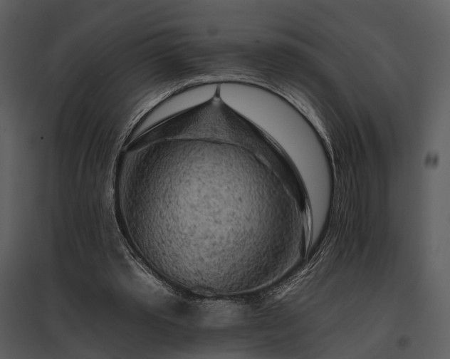 X0000095670389200801151108