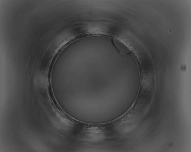 X0000095670390200801151108